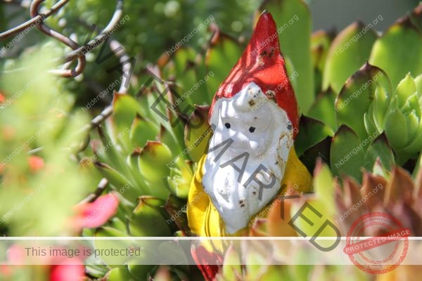 IMG 7240