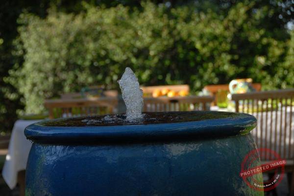 1830_DSC_0227_1008x674