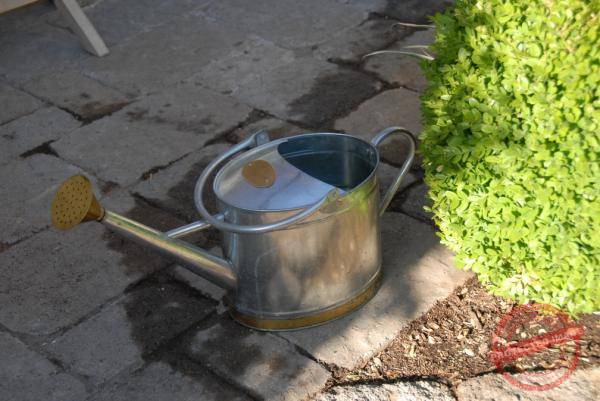 1840_DSC_0239_1008x674