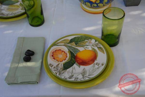 1843_DSC_0242_1008x674