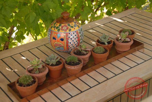 1845_DSC_0244_1008x674