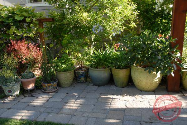 1854_DSC_0253_1008x674