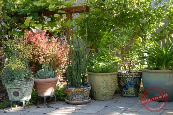 1857_DSC_0256_1008x674