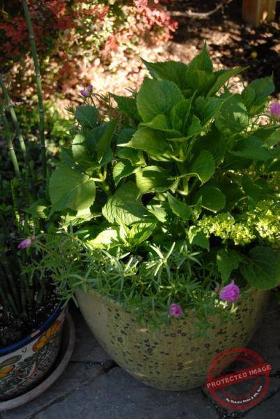 1858_DSC_0257_506x756