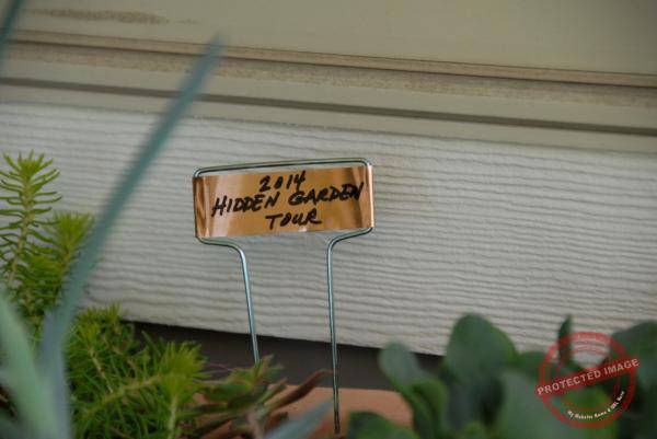 1862_DSC_0478_1008x674