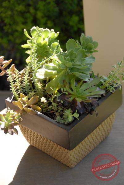 1865_DSC_0481_506x756