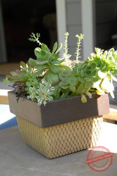 1869_DSC_0485_506x756