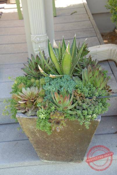 1870_DSC_0486_506x756